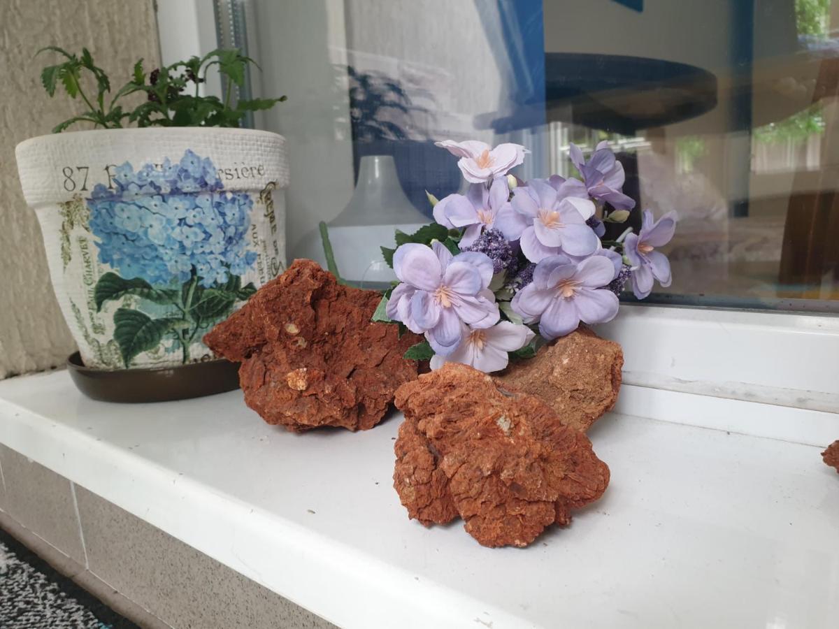 Вселена 바르나 외부 사진